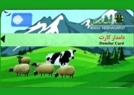 صدور دامدار کارت در استان ایلام آغاز شد