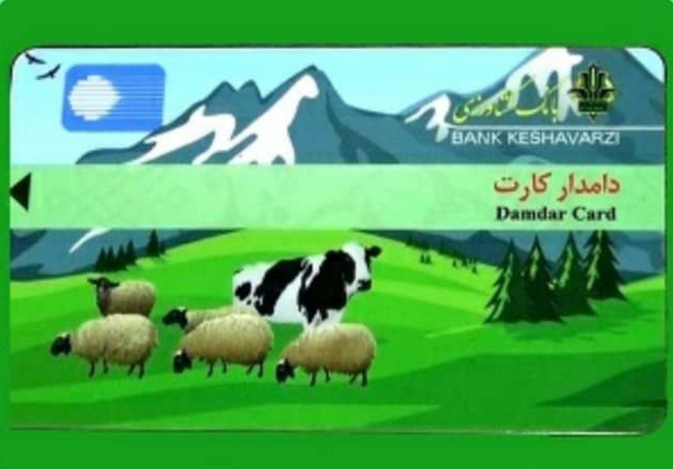 صدور دامدار کارت در استان ایلام آغاز شد
