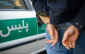  10 فقره سرقت در اجرای طرح ارتقاء امنیت اجتماعی در ایلام کشف شد