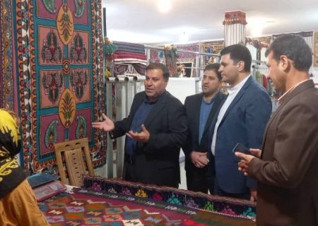 معاون امور مجلس، حقوقی و استان‌های وزارت میراث‌فرهنگی از بازارچه صنایع‌دستی ایلام بازدید کرد