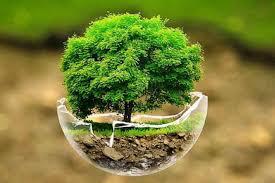 اختلاف فاحش قیمت ها/اختلاف میلیاردی در ۵پروژه 