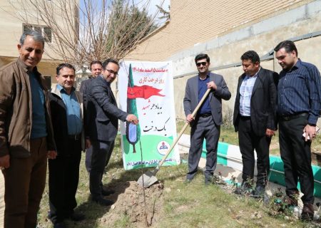 روز درختکاری فرصت مناسبی برای توجّه به محیط‌زیست است