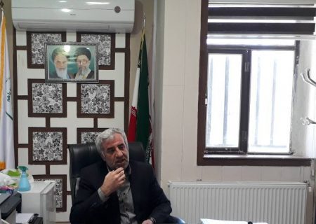 ۱۷۳ تن گوشت قرمز و ۳۱۰ تن مرغ با هدف تنظیم بازار استان توزیع شد