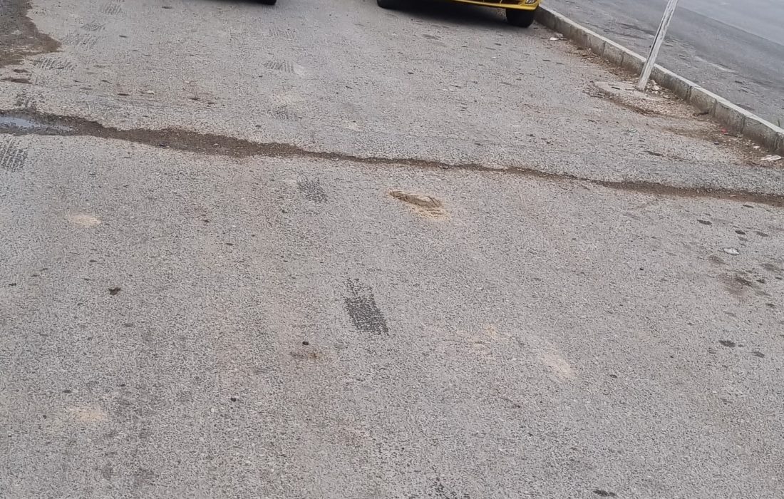 قاچاق محترمانه چوب