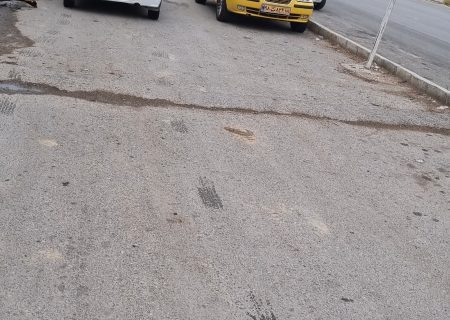 قاچاق محترمانه چوب