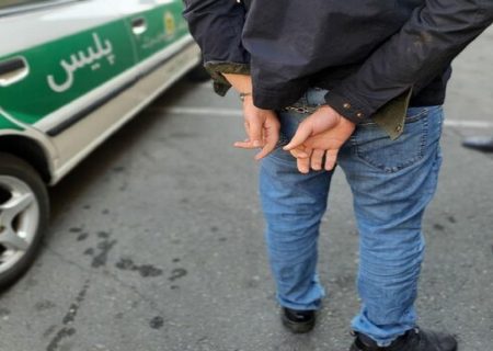 دستگیری سارقان با 12 فقره سرقت در” ایلام”