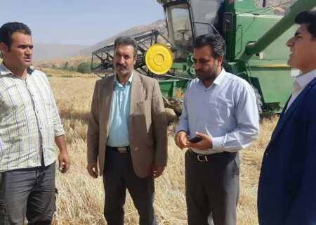 ۳۱کمباین در سیروان مشغول برداشت محصولات کشاورزی هست