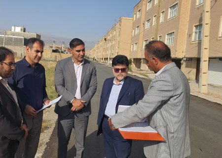 مدیردرمان استان ایلام به دره شهر سفر کرد