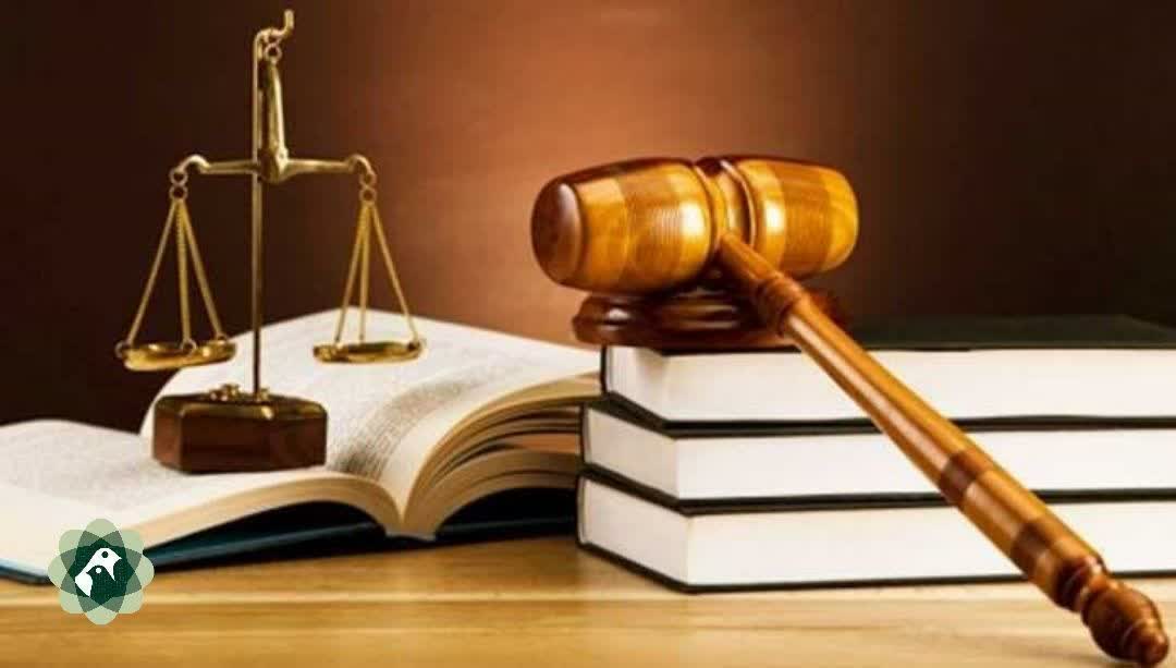 تسریع در صدور اسناد رسمی زمین های کشاورزی شهرستان مهران