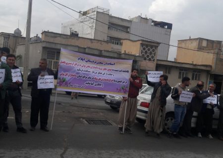 تجمع جمعی از دامداران بخش بولی