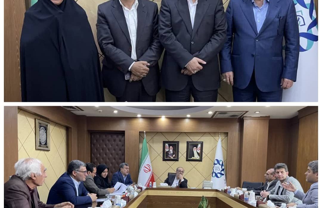 دیدار مجمع نمایندگان استان ایلام با رئیس صندوق توسعه ملی