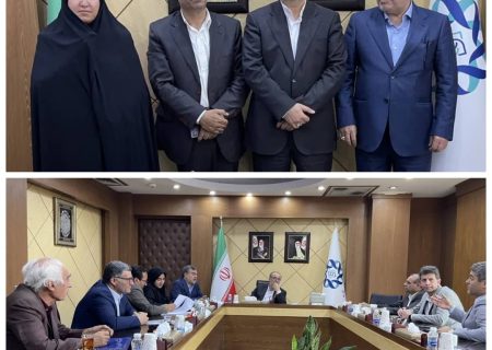 دیدار مجمع نمایندگان استان ایلام با رئیس صندوق توسعه ملی