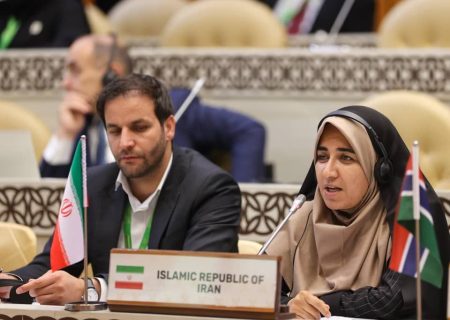 دیپلماسی تمام ساحتی سارا فلاحی و عدم تاب آوری مخالفان او